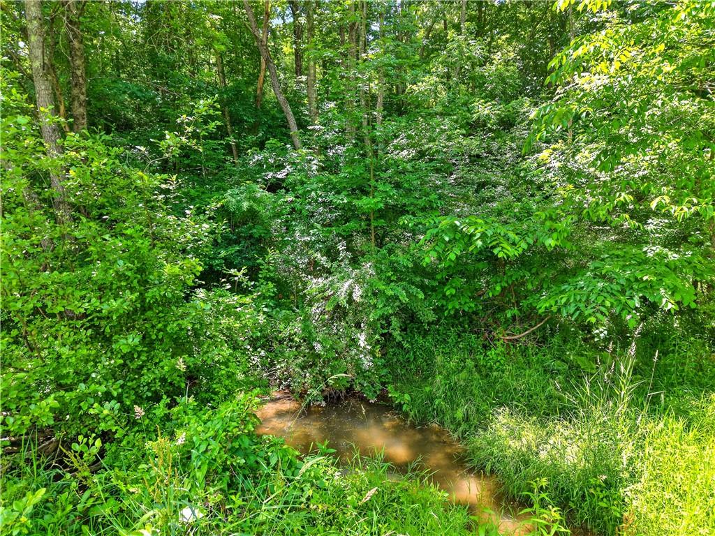 180 Camp Run Road Harmony, PA 16037 - Photo 41 of 43 Creek at Back of Property