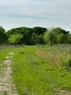 a view of a field with an ocean and trees