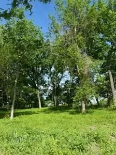 a view of a grassy field with trees