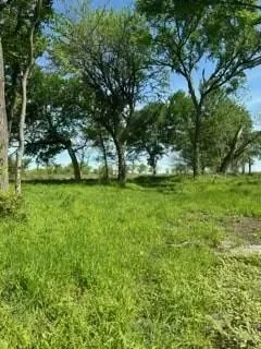 a view of a field with a tree