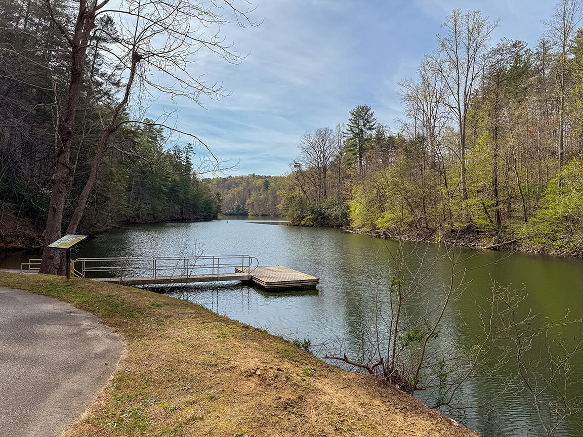 1023 Un Brg Rd Road Ferrum, VA 24088 - Photo 30 of 32 Nearby Boat Launch 2