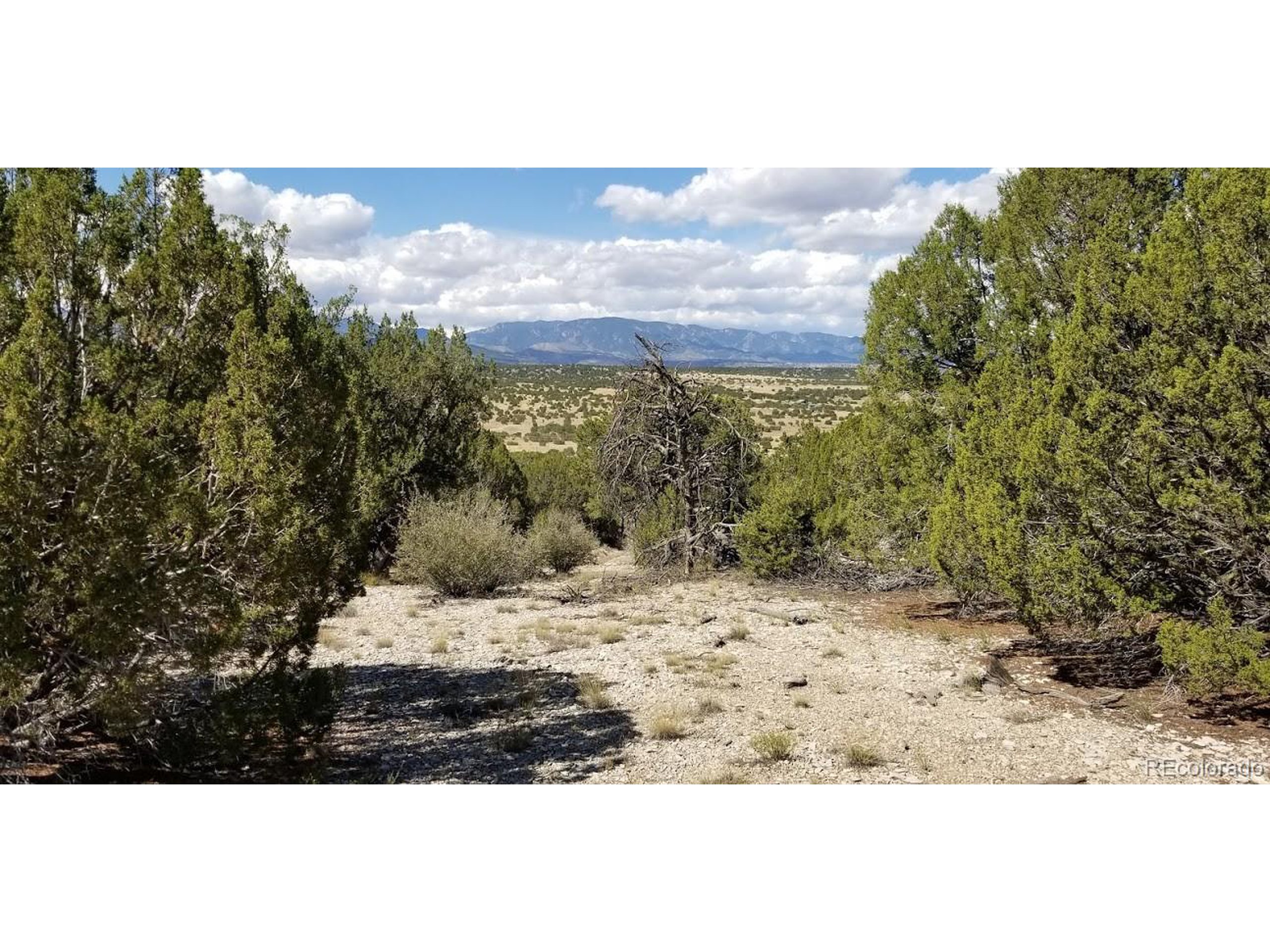 21 Bronquist Road Pueblo, CO 81005 - Photo 10 of 33