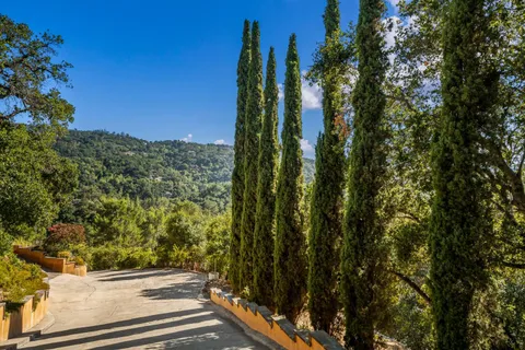 a view of outdoor space and yard