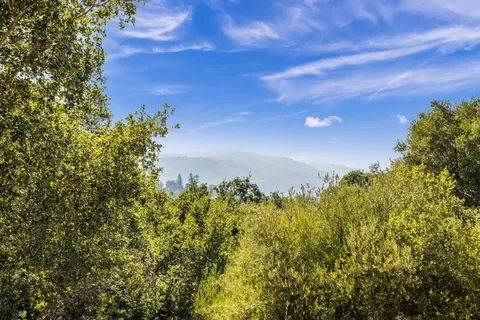 a view of a bunch of trees