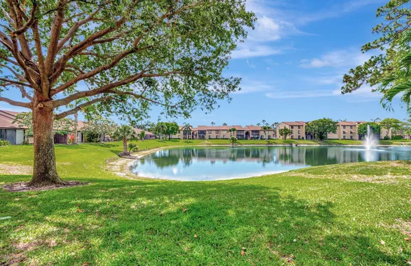 a view of a lake with a yard and large trees
