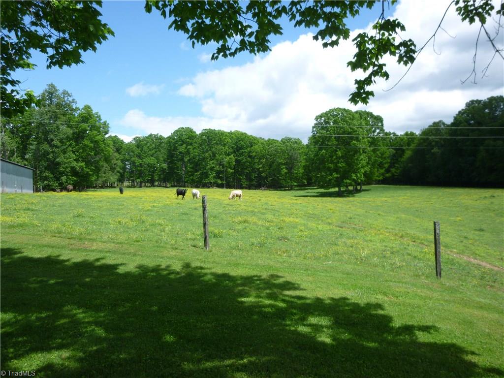 1476 Barker Road Roaring River, NC 28669 - Photo 26 of 29 View of pasture from end of house to right of Hay Barn.