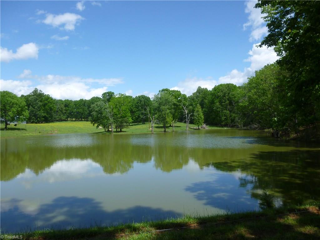 1476 Barker Road Roaring River, NC 28669 - Photo 27 of 29 View of pond from driveway on Dam.