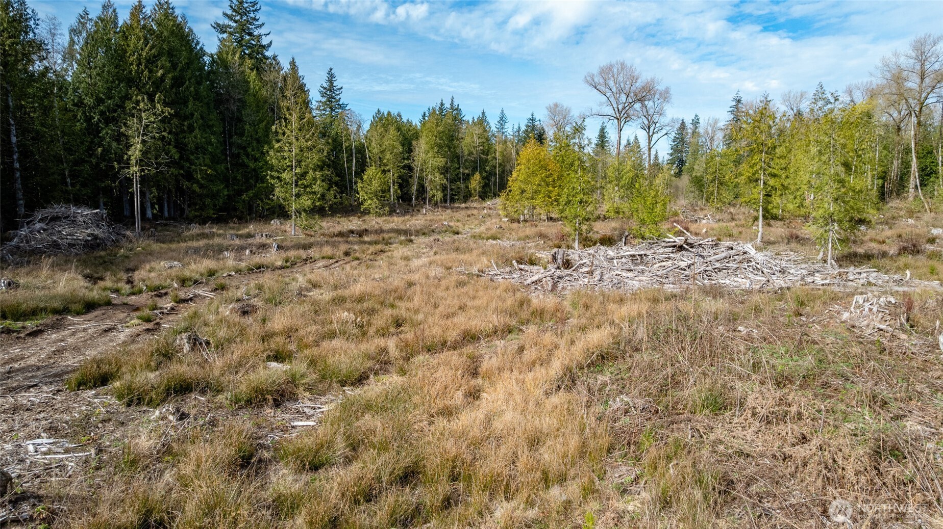 -nhn H Street Road Blaine, WA 98230 - Photo 11 of 13