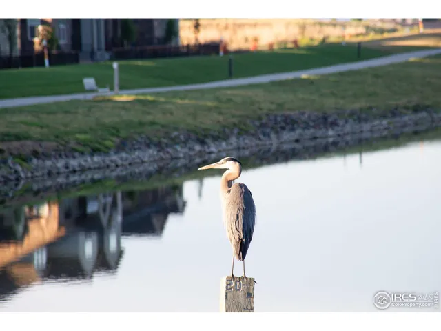 $661,528 | 6228 Vernazza Way, Unit 2, Windsor, CO 80550