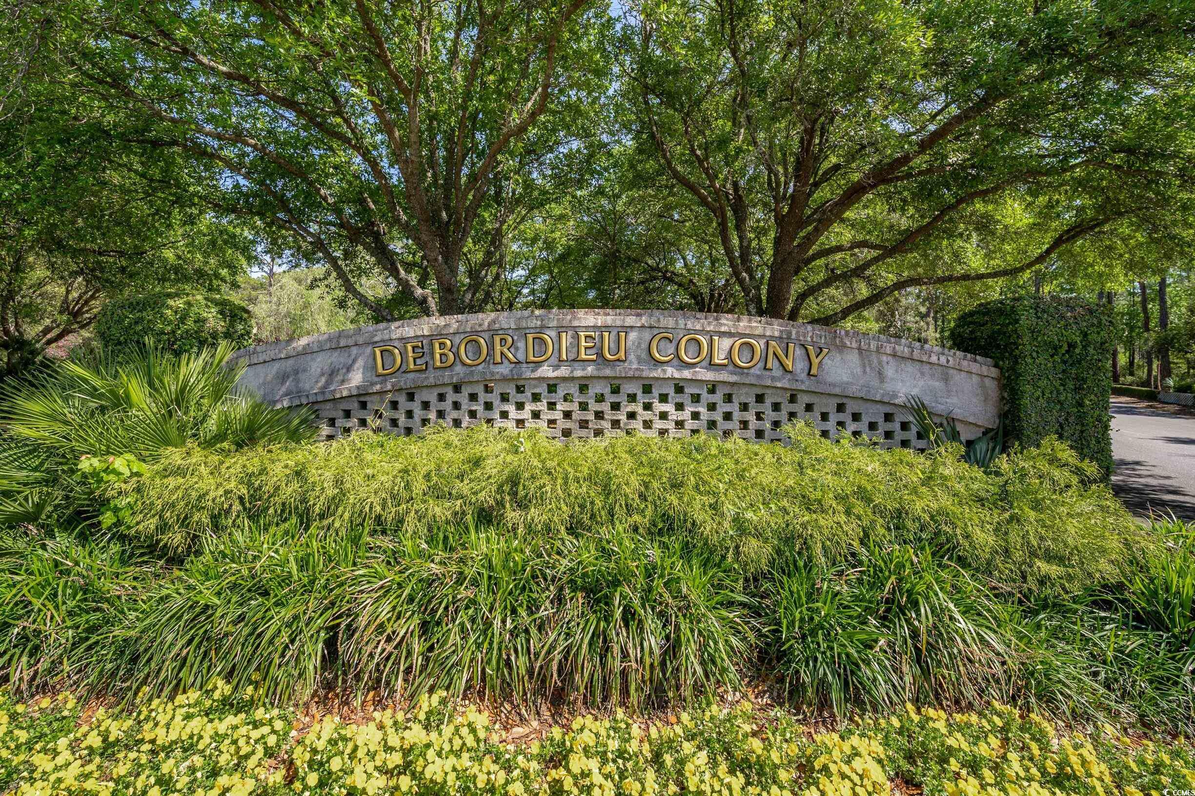 363 Debordieu Boulevard, Unit NEC1 Georgetown, SC 29440 - Photo 34 of 34