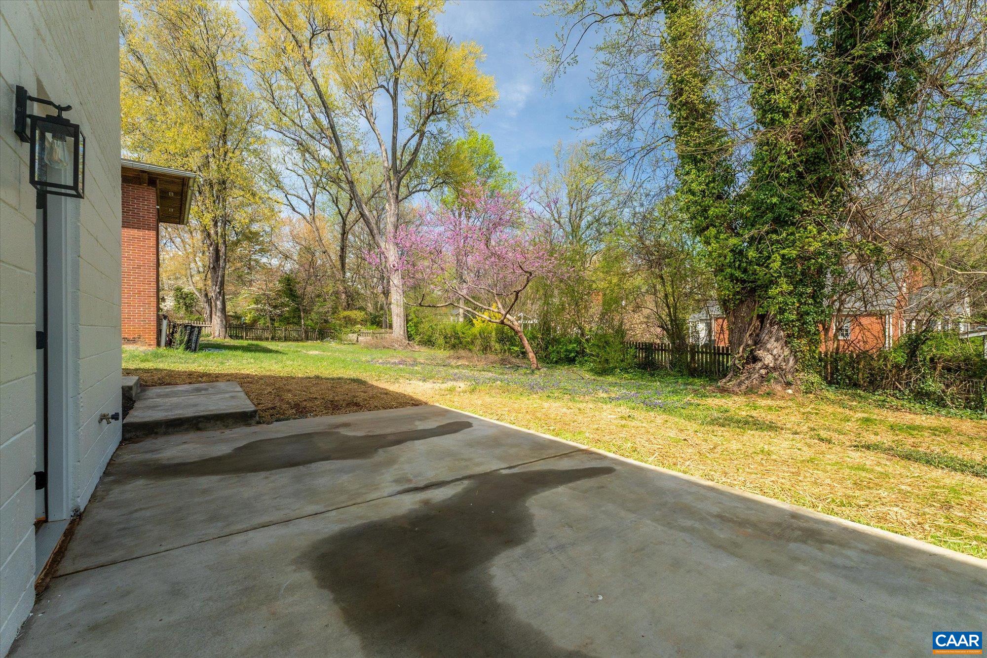 1449 Rutledge Avenue Charlottesville, VA 22903 - Photo 42 of 46 a view of yard with tree