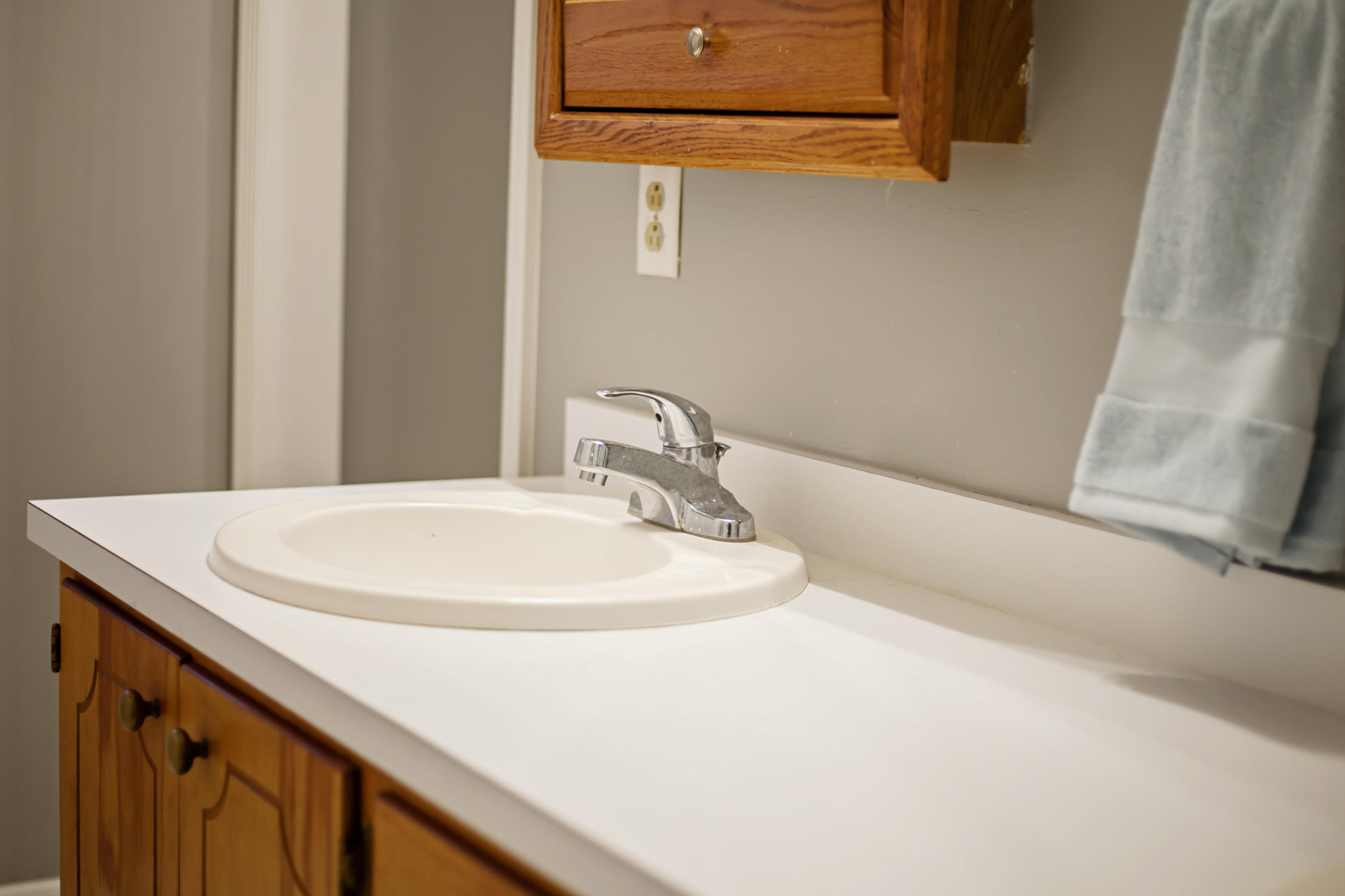 610 Lynnwood Road Walterboro, SC 29488 - Photo 24 of 44 610 Lynnwood Robin Harrison-0008
