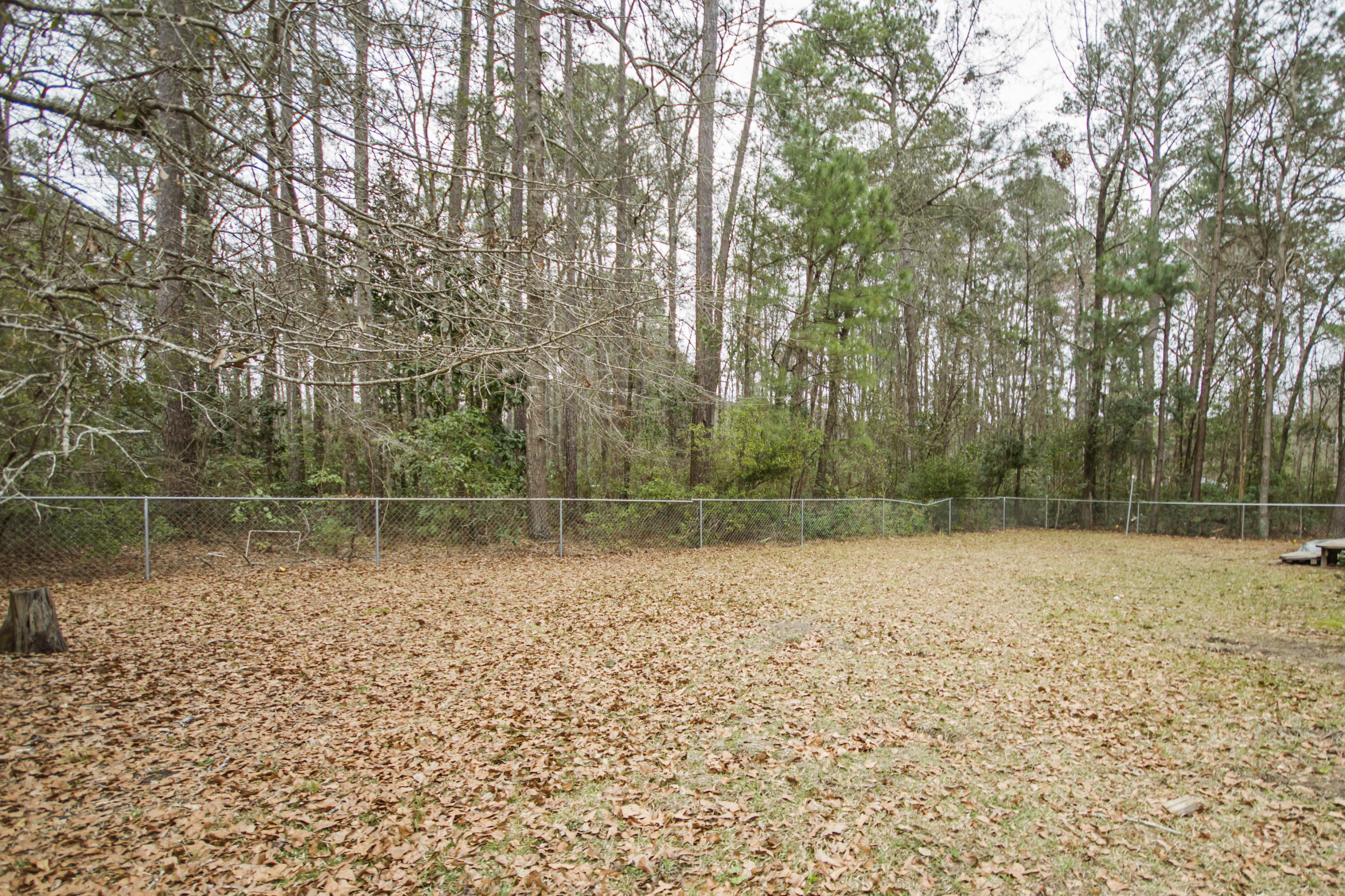 610 Lynnwood Road Walterboro, SC 29488 - Photo 42 of 44 610 Lynnwood Robin Harrison-0055