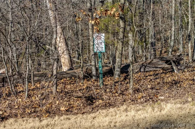 $70,000 | Lot 401 East Lake Pkwy Villages, Sunrise Beach, MO 65079