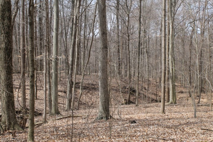 10671 New Delaware Road Mount Vernon, OH 43050 - Photo 22 of 24 Gallery Image 22