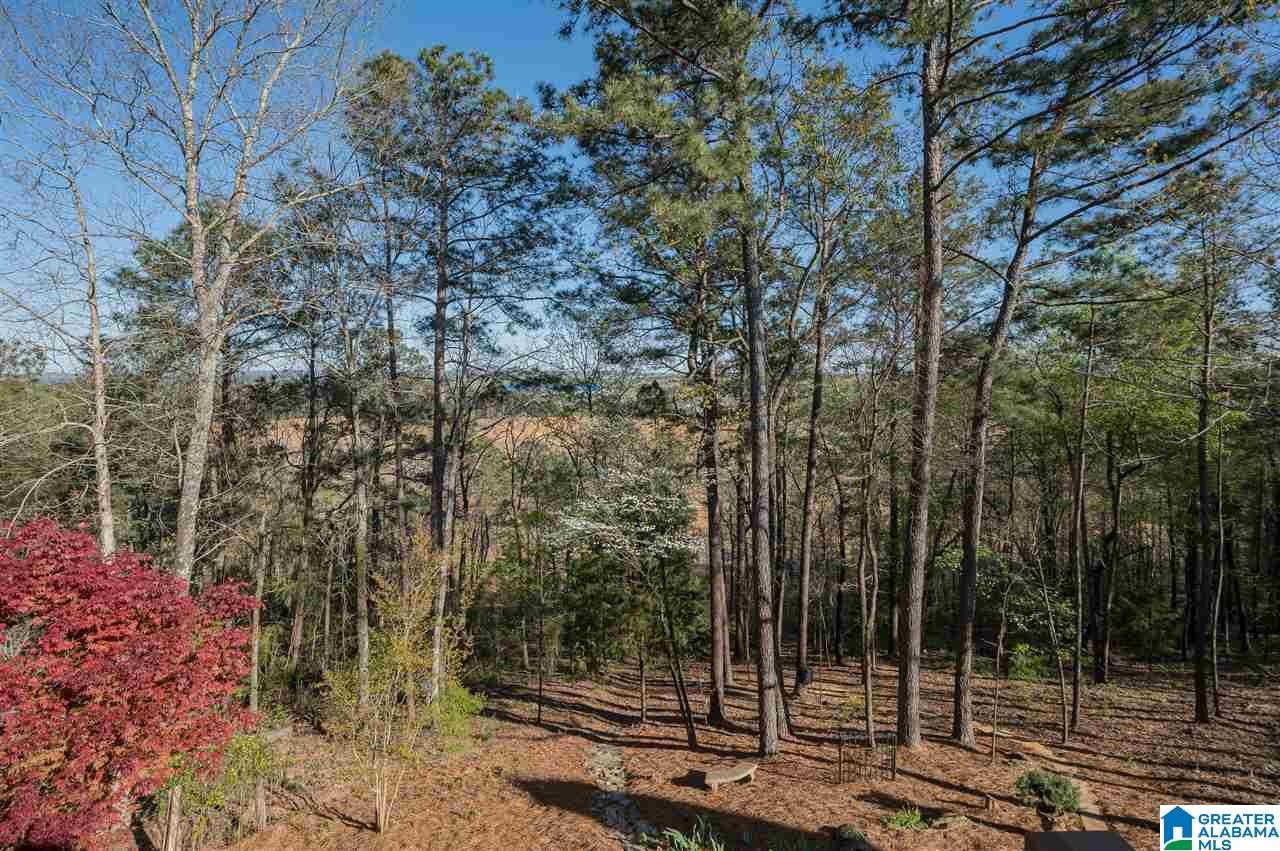 5680 Chestnut Trace Birmingham, AL 35244 - Photo 48 of 48