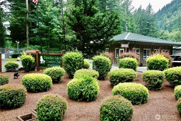 a view of a garden with large trees