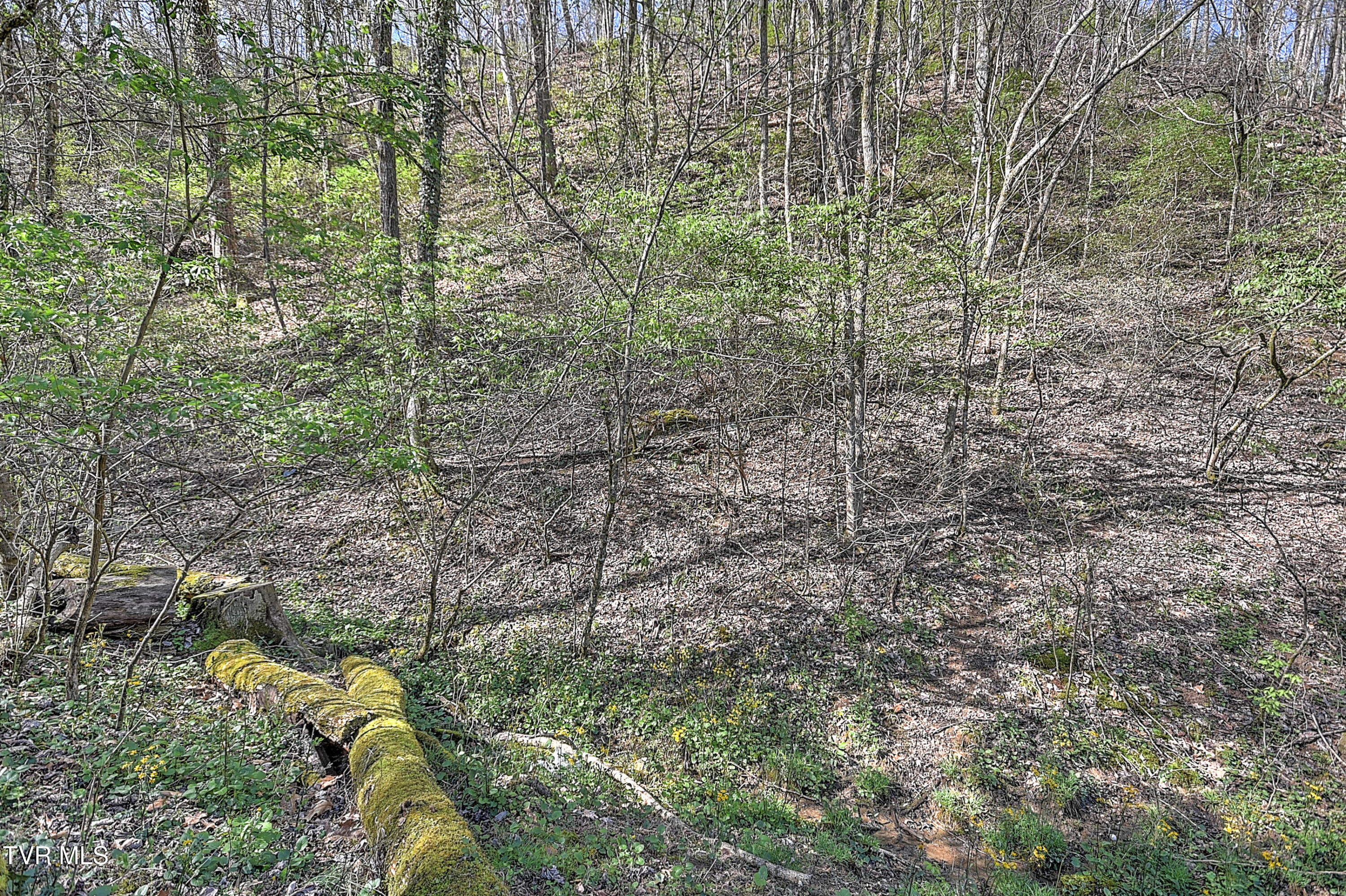 112 Hidden Valley Road Bristol, TN 37620 - Photo 71 of 74 112 Hidden Valley KB-71