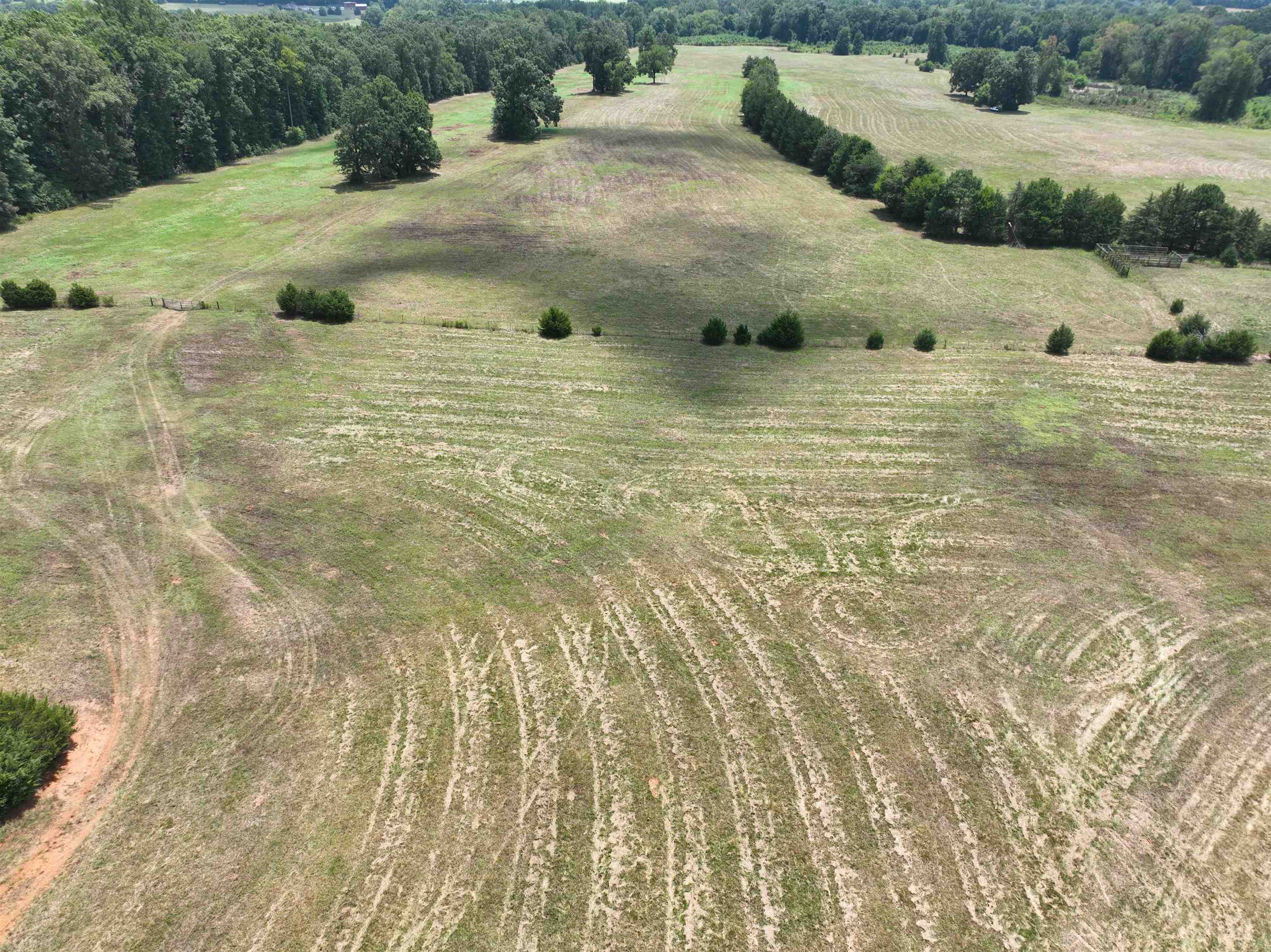 5027 Mobley Store Road McConnells, SC 29726 - Photo 11 of 31