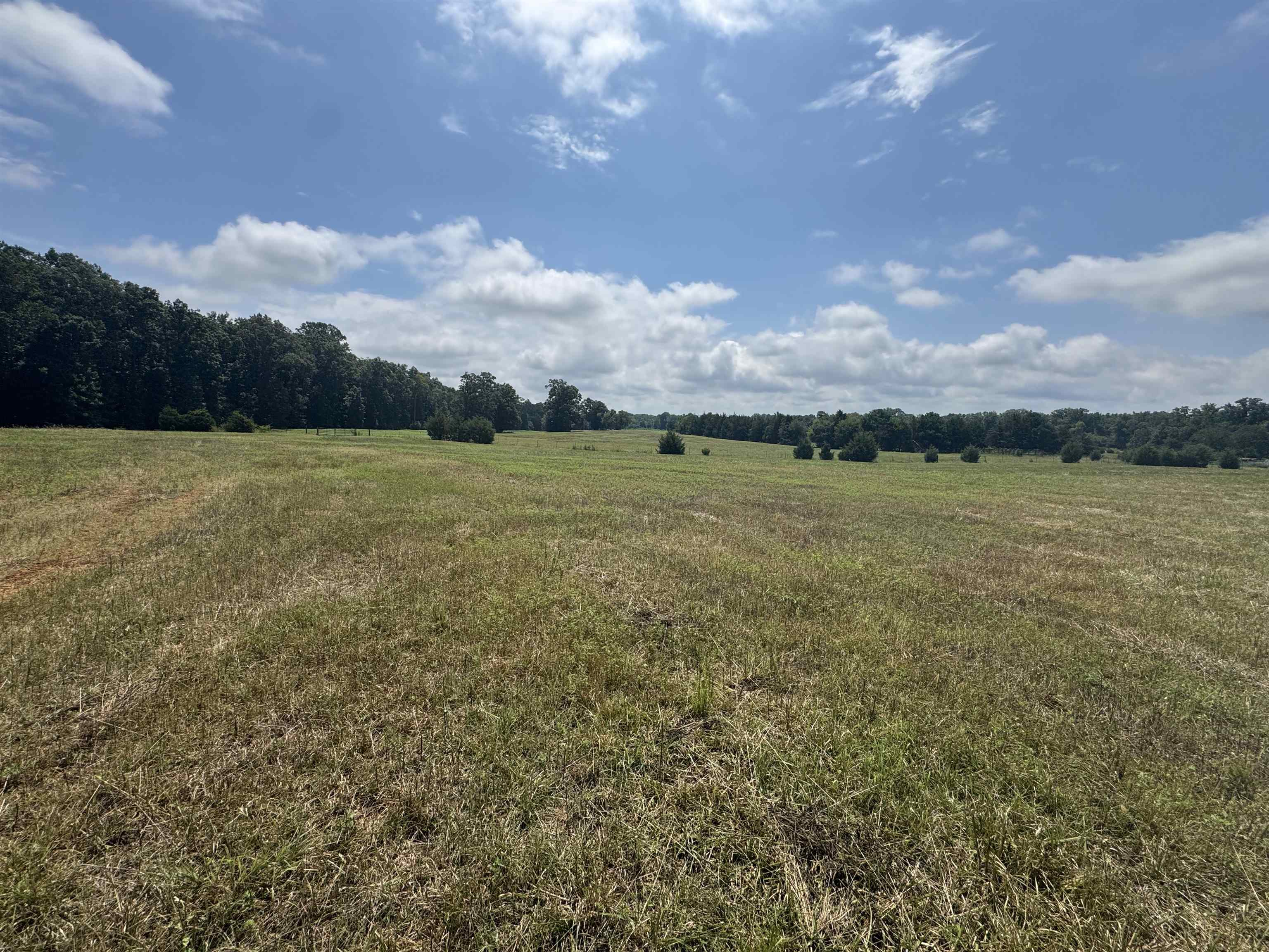 5027 Mobley Store Road McConnells, SC 29726 - Photo 13 of 31