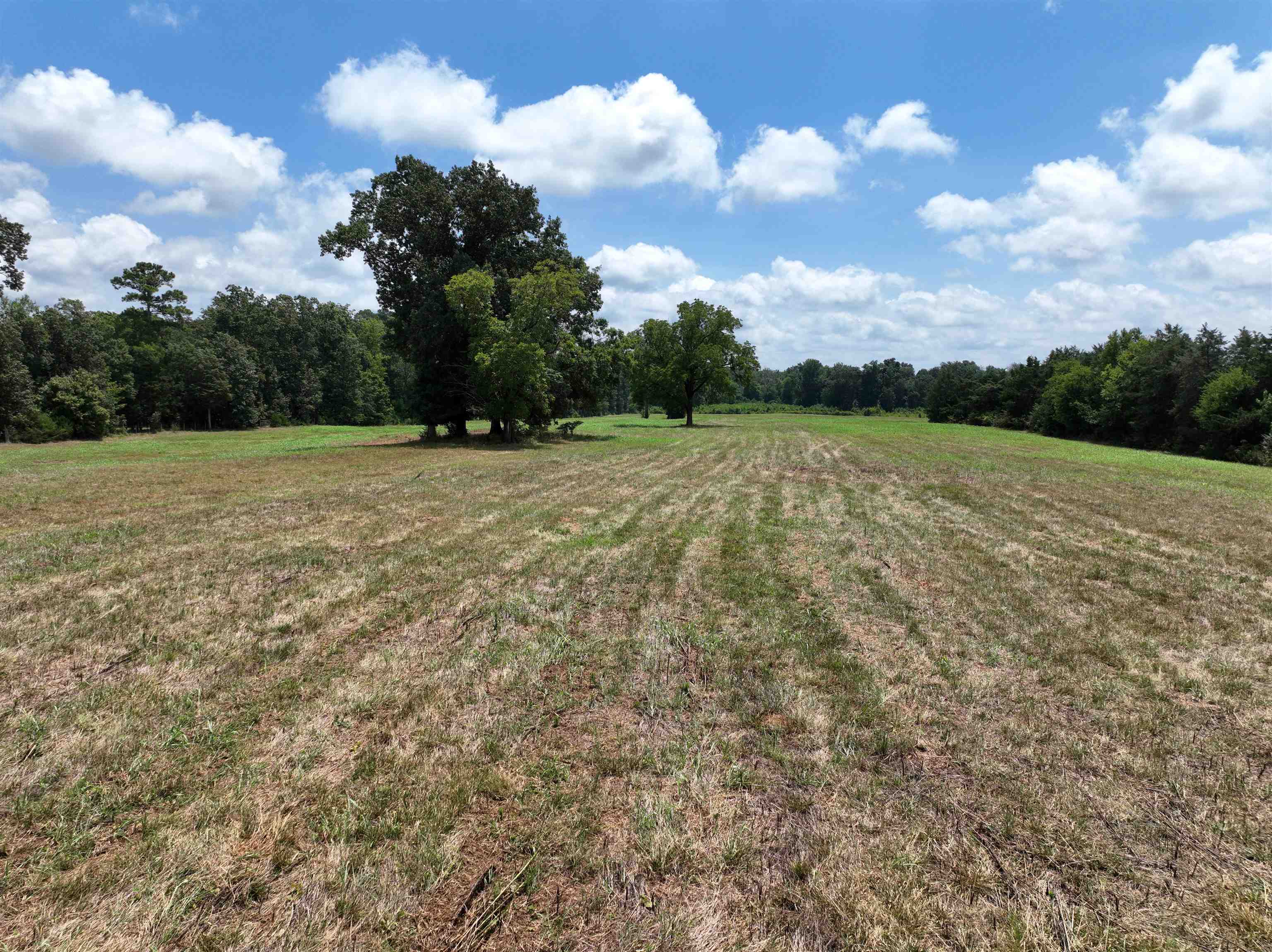 5027 Mobley Store Road McConnells, SC 29726 - Photo 16 of 31