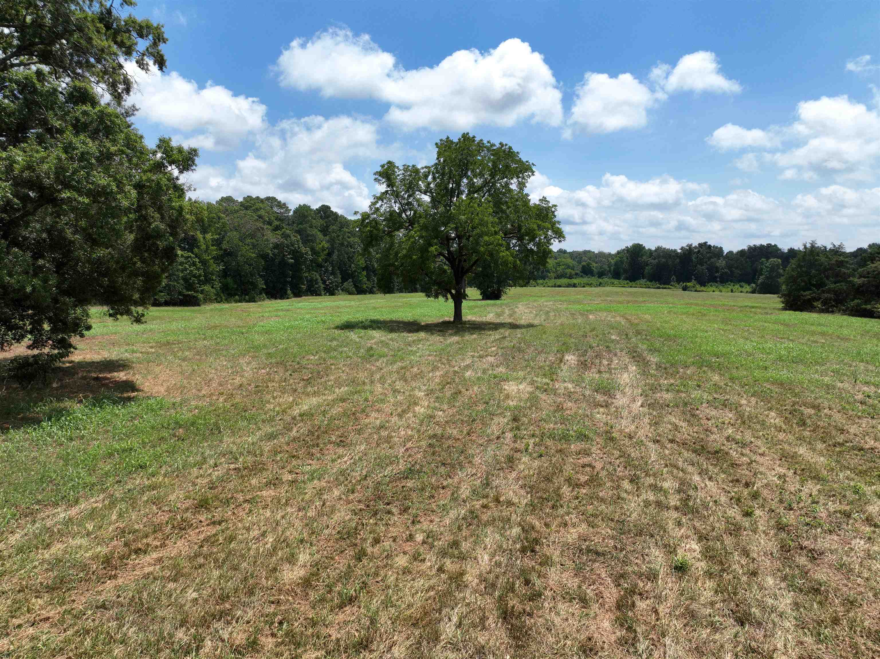 5027 Mobley Store Road McConnells, SC 29726 - Photo 17 of 31