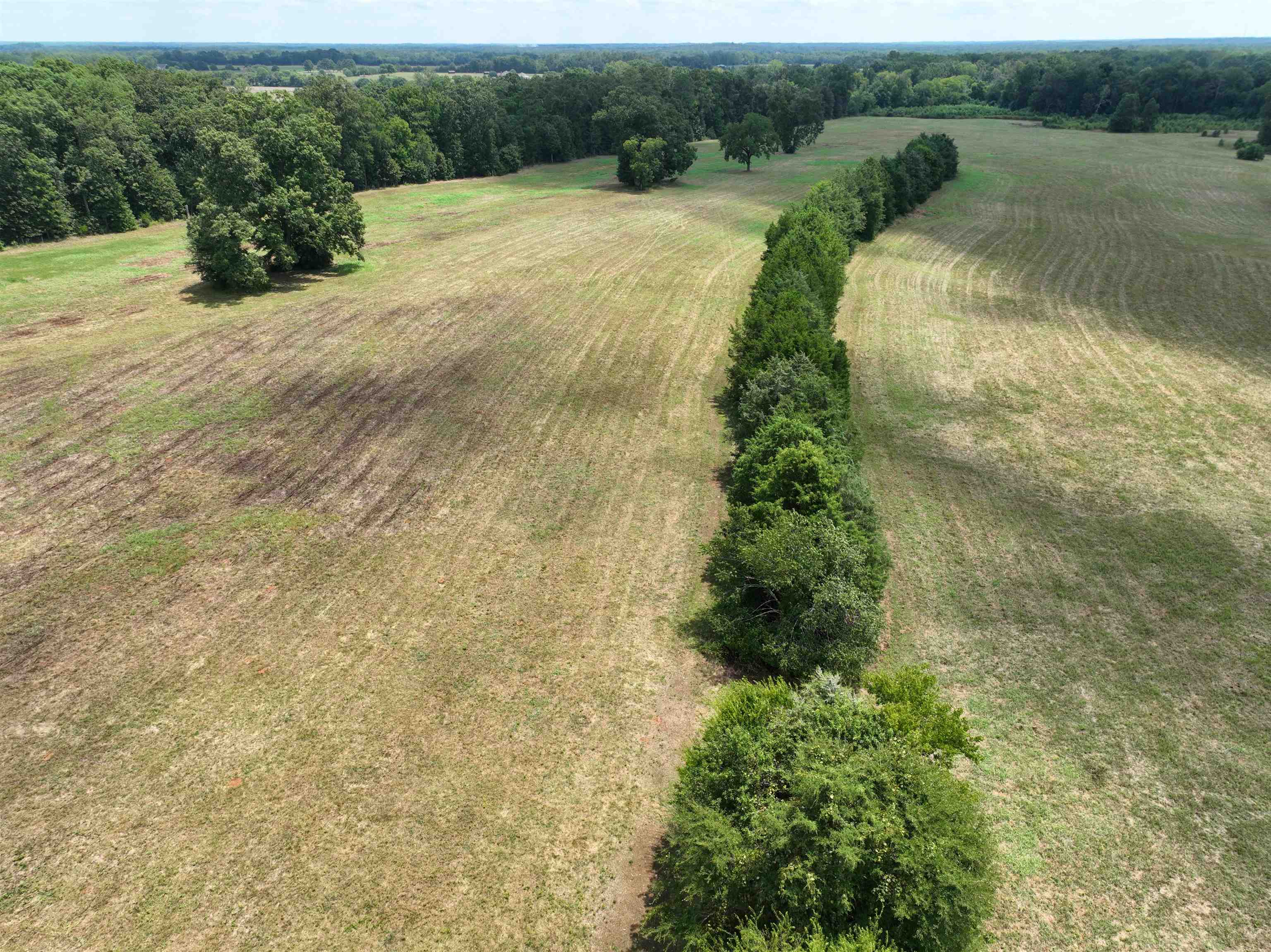 5027 Mobley Store Road McConnells, SC 29726 - Photo 20 of 31