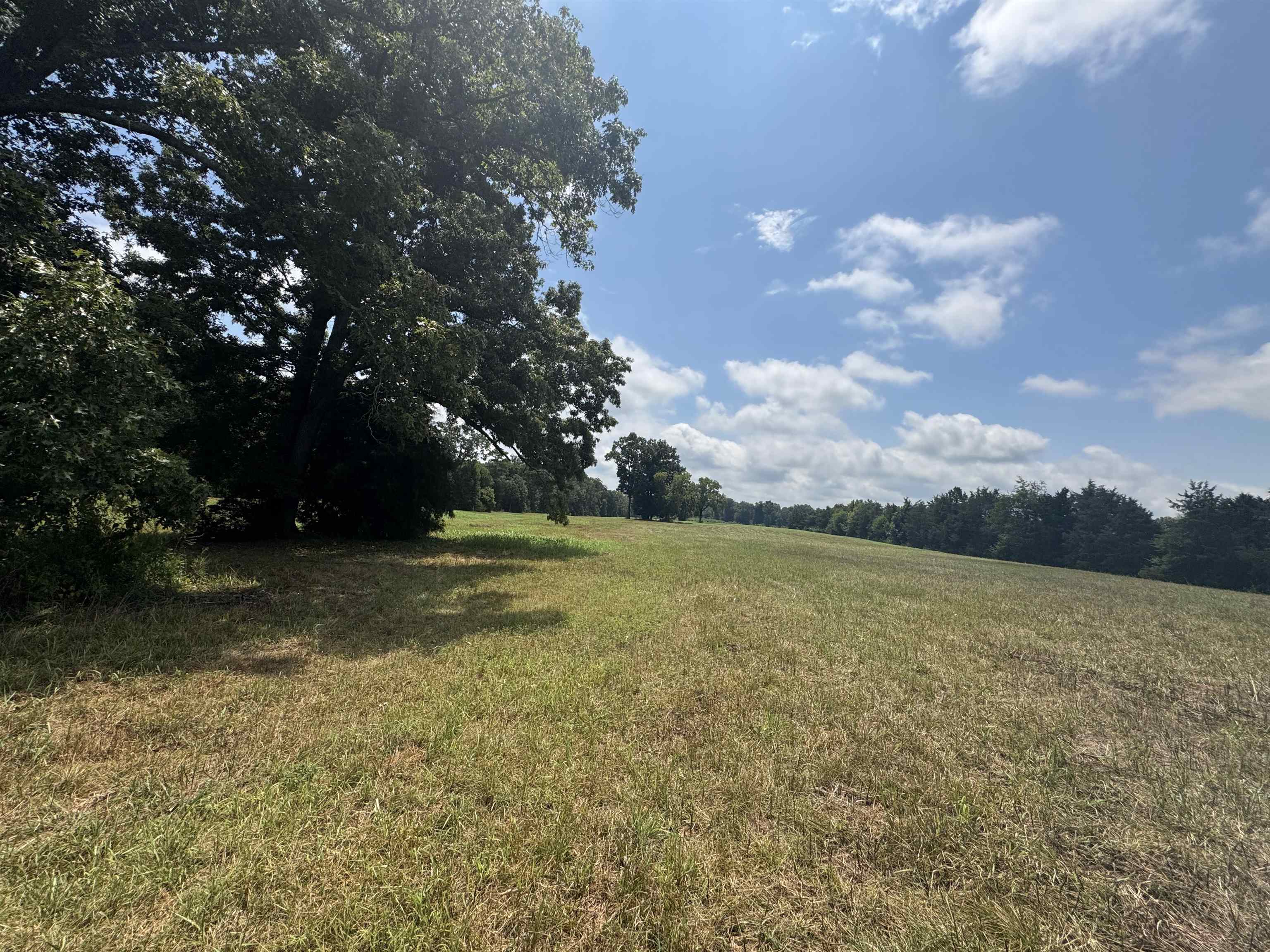 5027 Mobley Store Road McConnells, SC 29726 - Photo 24 of 31