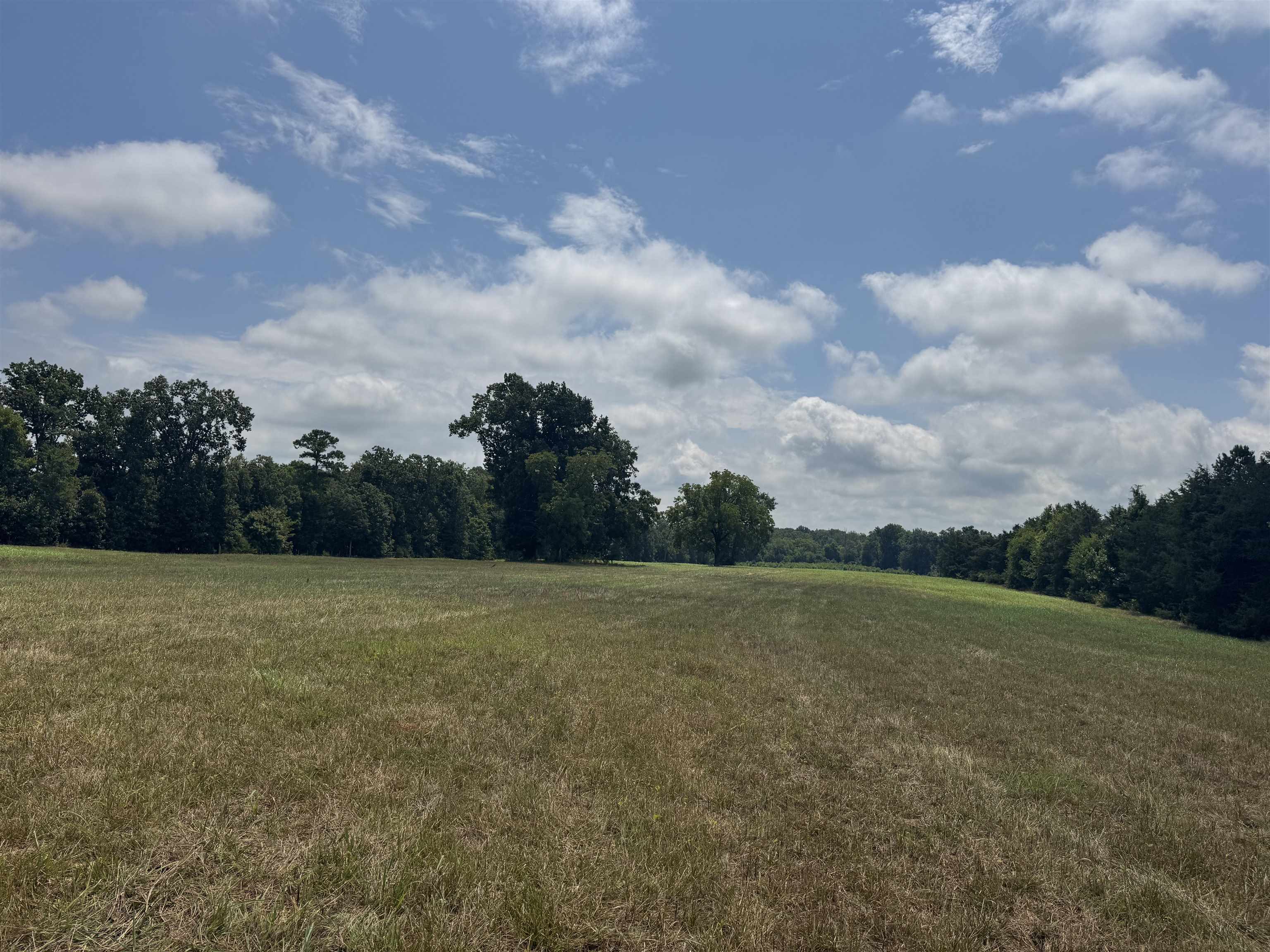 5027 Mobley Store Road McConnells, SC 29726 - Photo 25 of 31