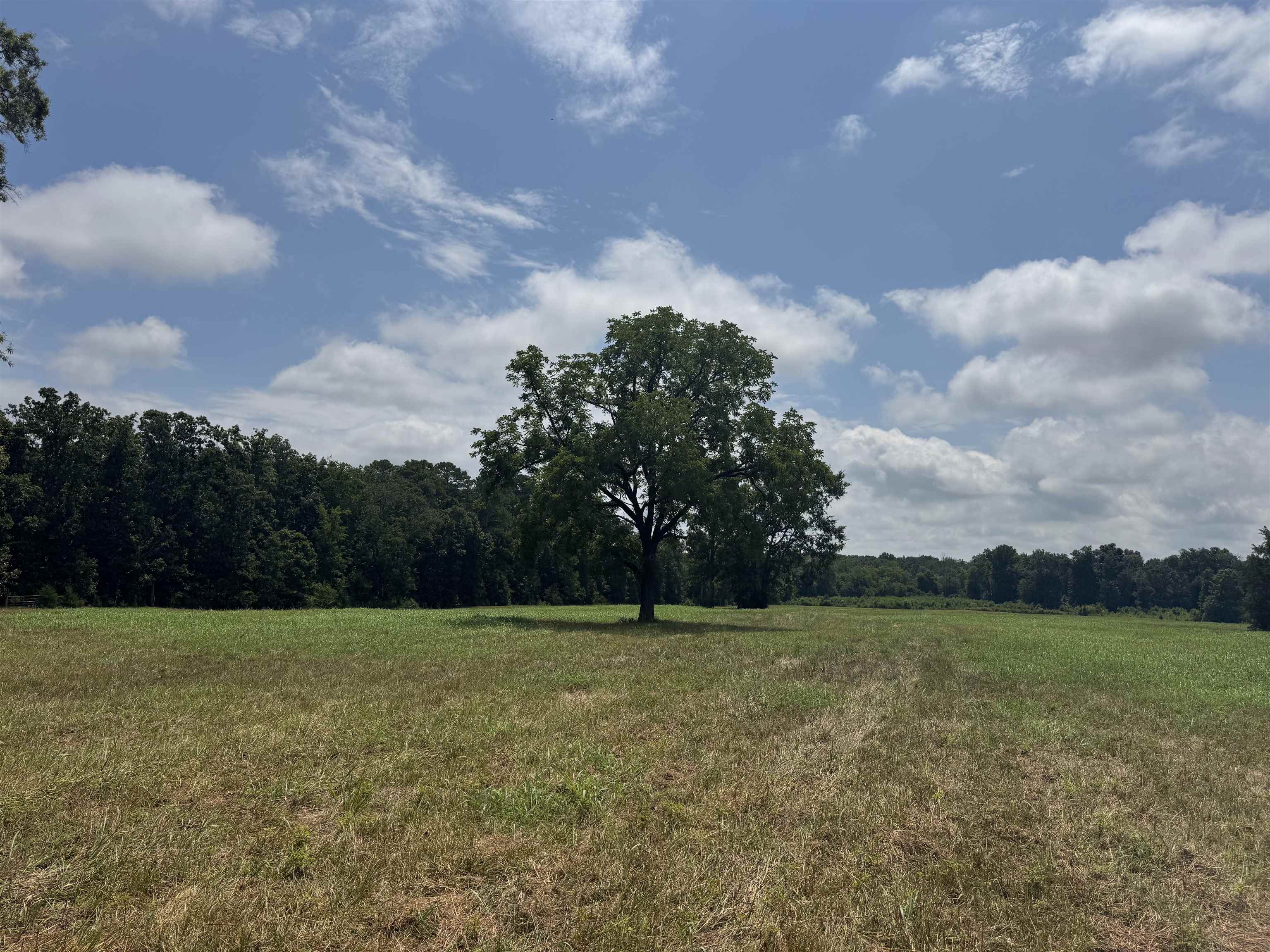 5027 Mobley Store Road McConnells, SC 29726 - Photo 26 of 31