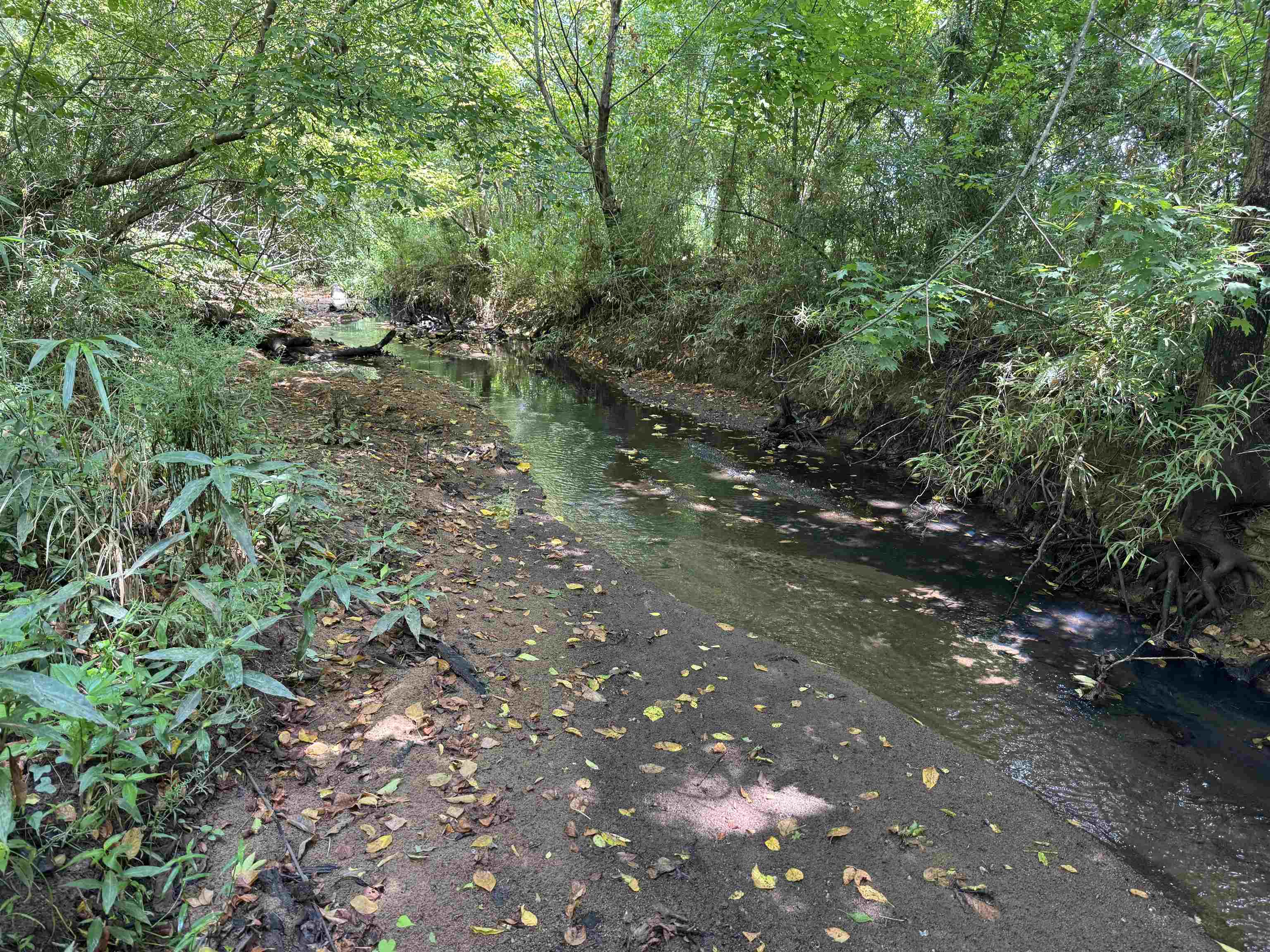 5027 Mobley Store Road McConnells, SC 29726 - Photo 27 of 31
