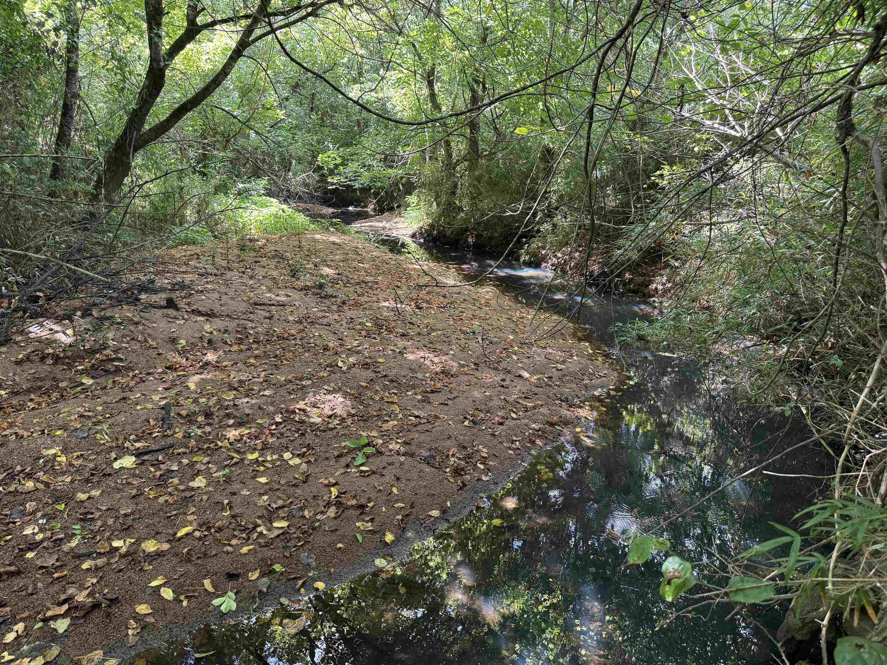 5027 Mobley Store Road McConnells, SC 29726 - Photo 28 of 31