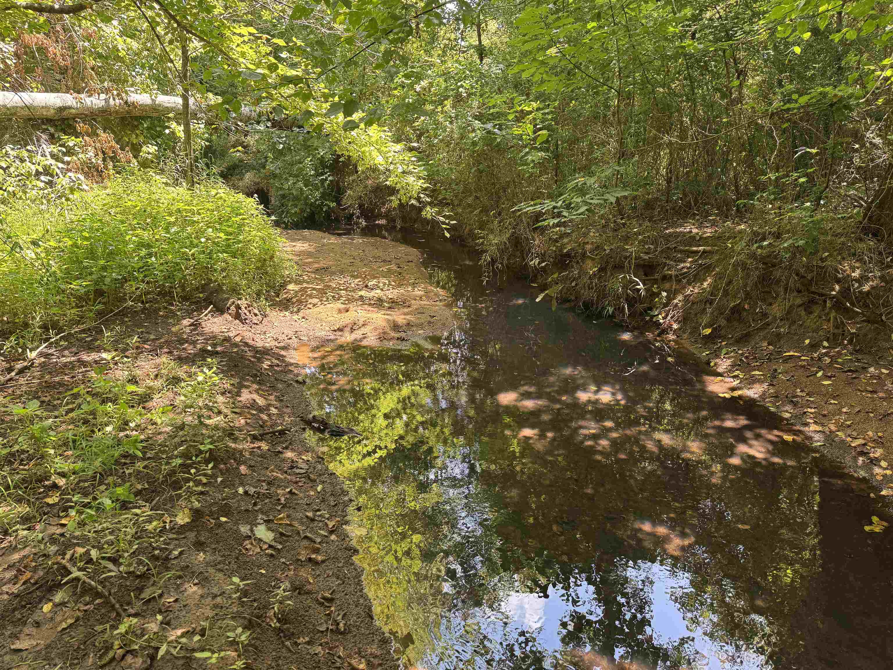 5027 Mobley Store Road McConnells, SC 29726 - Photo 29 of 31