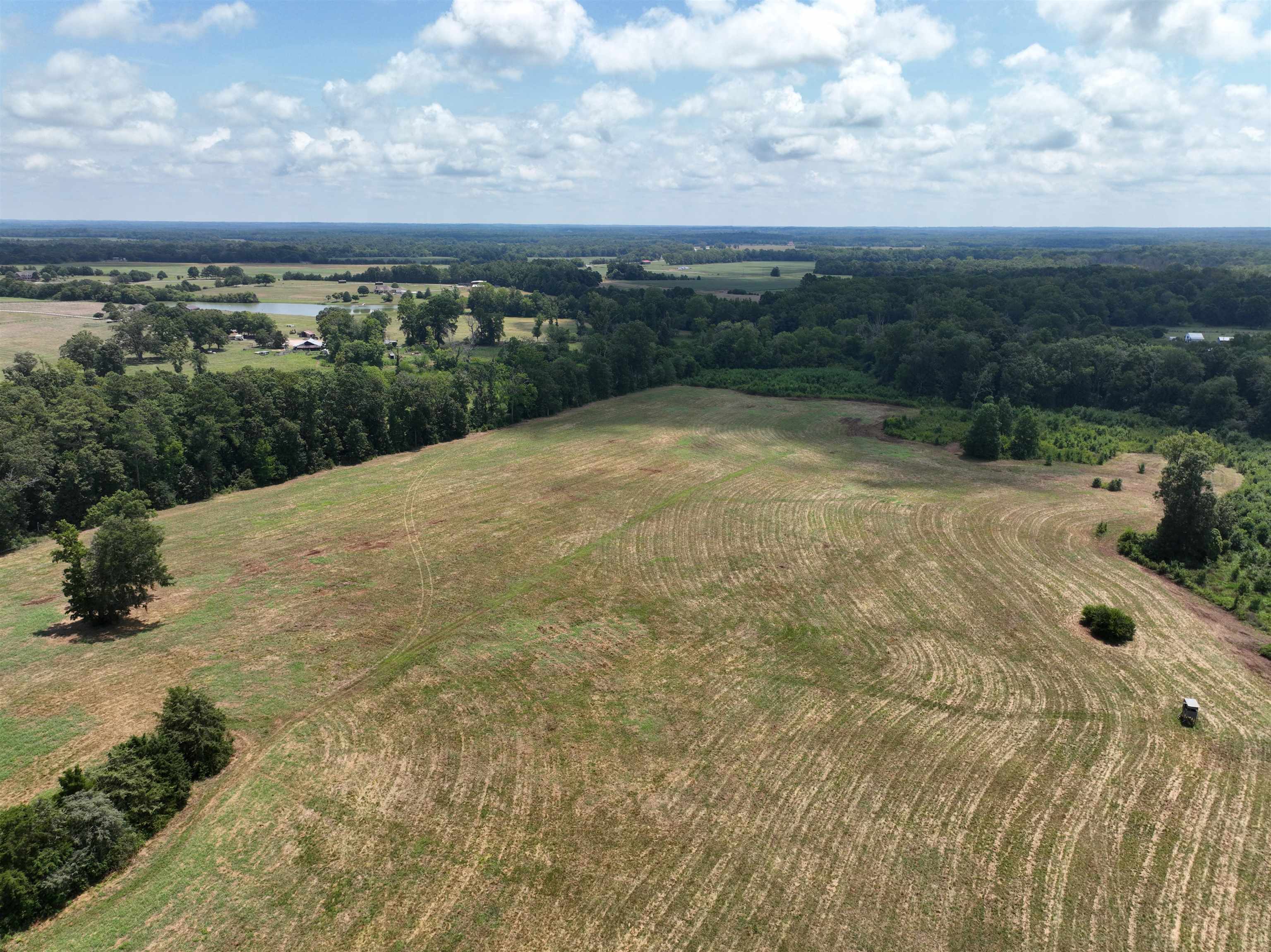 5027 Mobley Store Road McConnells, SC 29726 - Photo 3 of 31