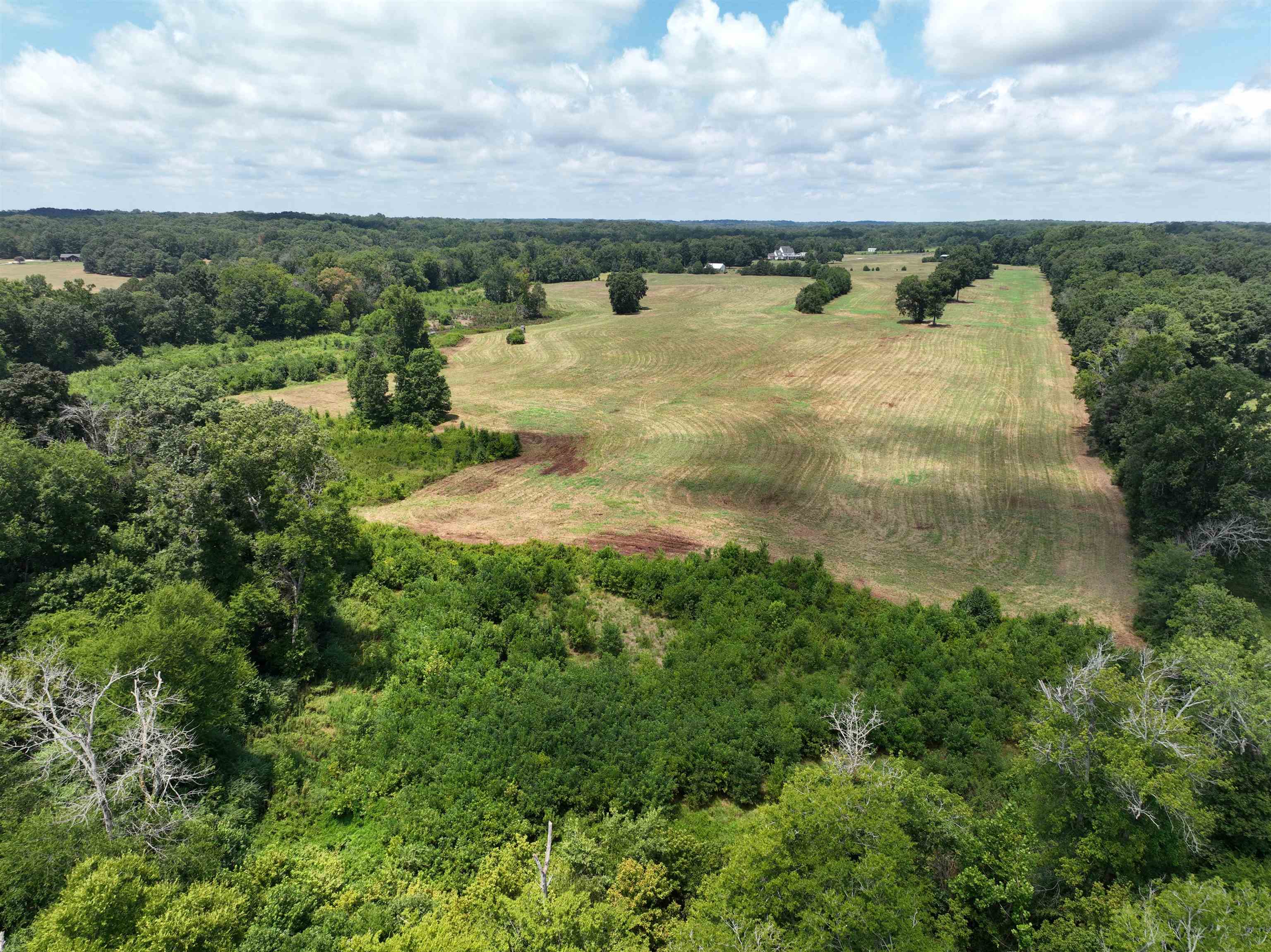 5027 Mobley Store Road McConnells, SC 29726 - Photo 4 of 31