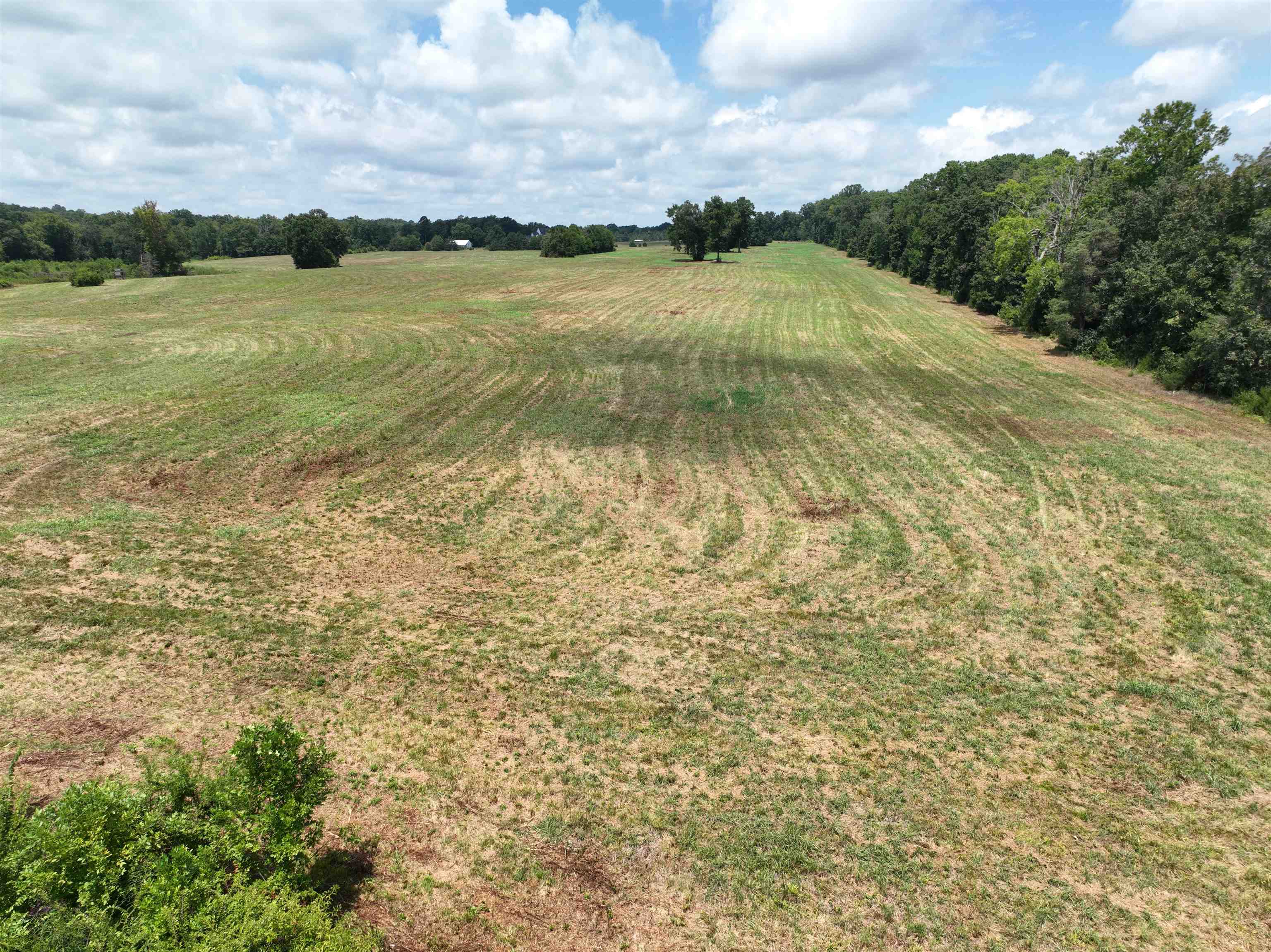 5027 Mobley Store Road McConnells, SC 29726 - Photo 5 of 31