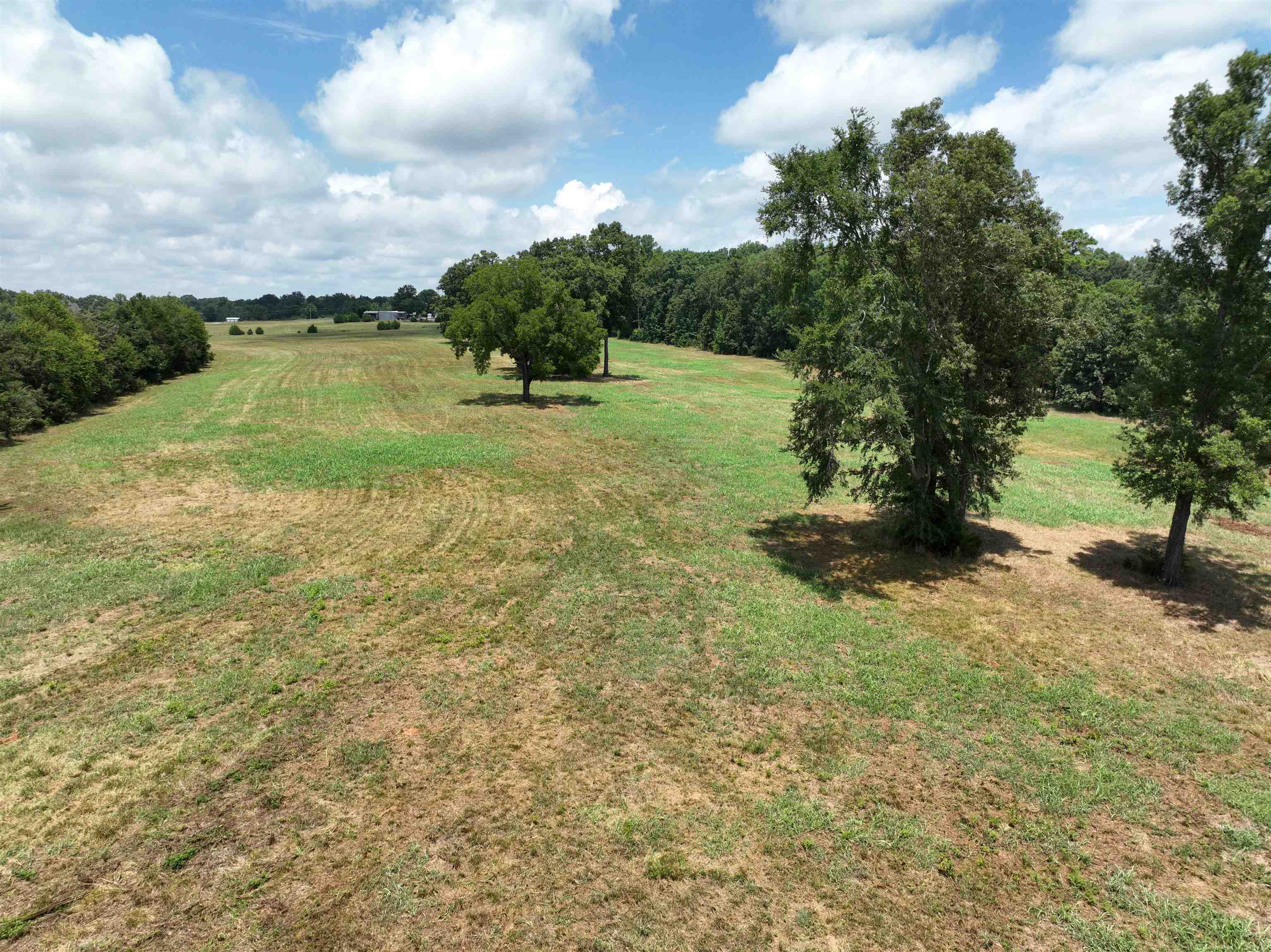 5027 Mobley Store Road McConnells, SC 29726 - Photo 7 of 31