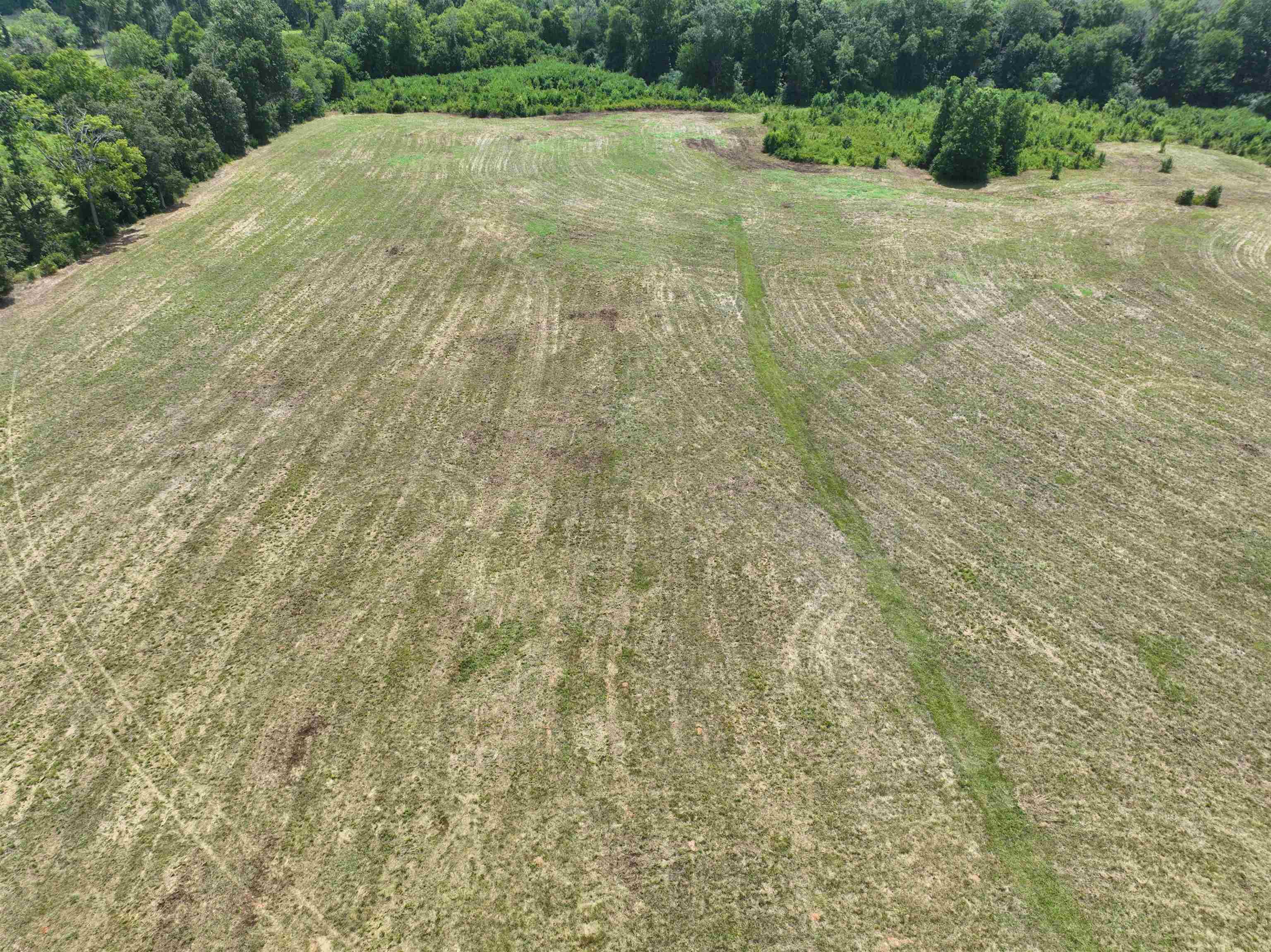 5027 Mobley Store Road McConnells, SC 29726 - Photo 8 of 31