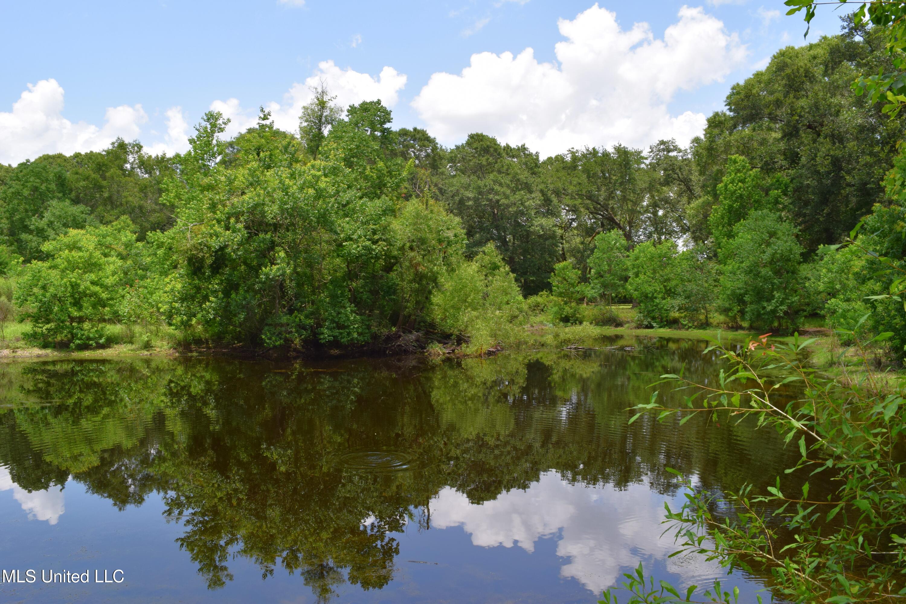21528 Coleman Cemetery Road Moss Point, MS 39562 - Photo 2 of 38 DSC_0056