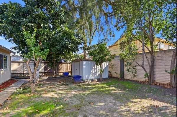 a view of a backyard with a tree