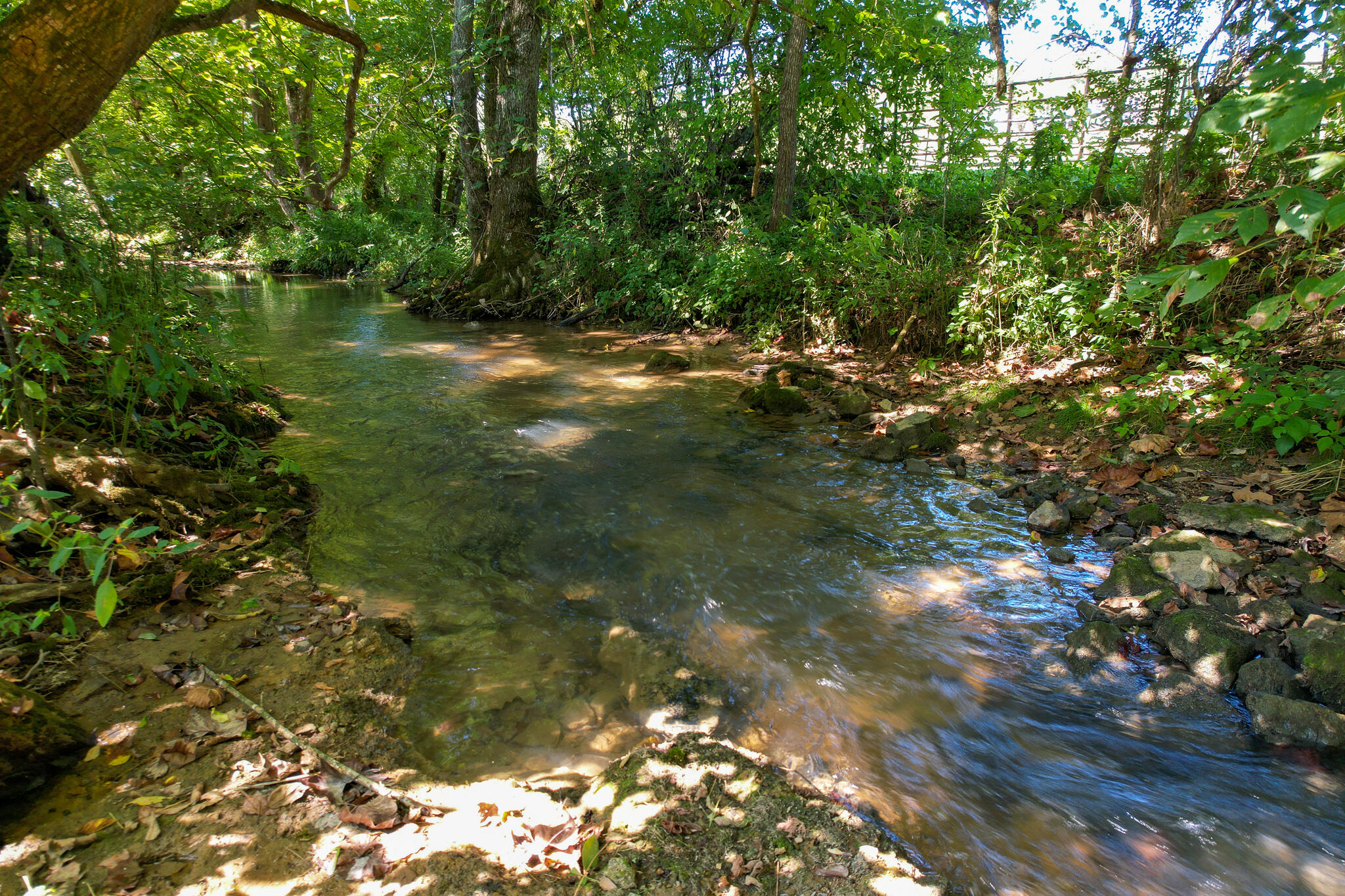 125 Earl Baxter Road Chuckey, TN 37641 - Photo 43 of 80 DJI_0406