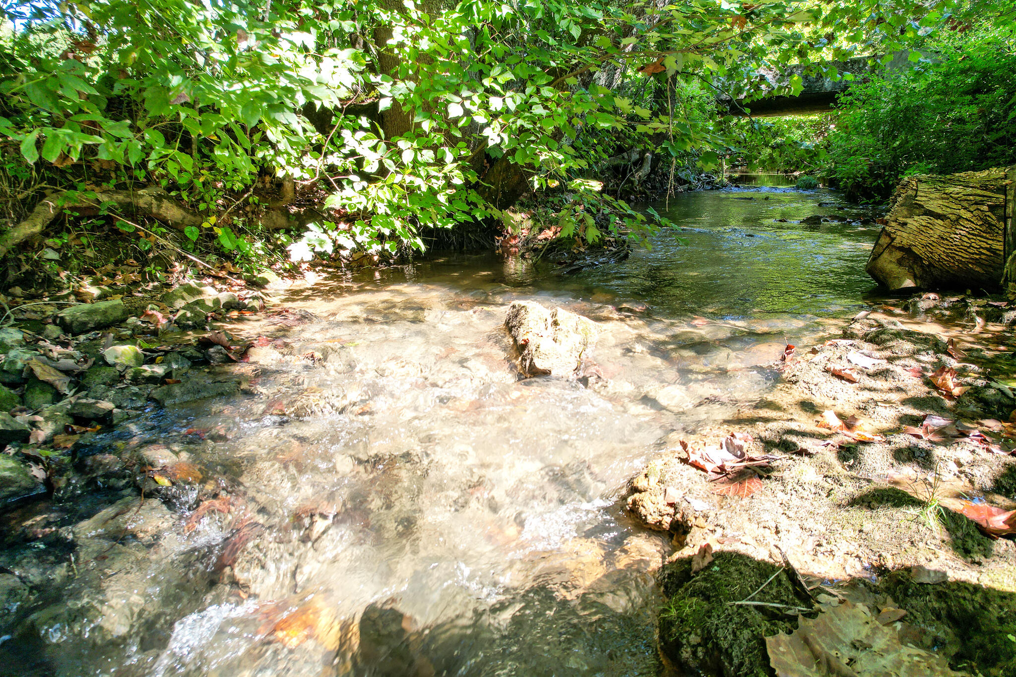 125 Earl Baxter Road Chuckey, TN 37641 - Photo 44 of 80 DJI_0407