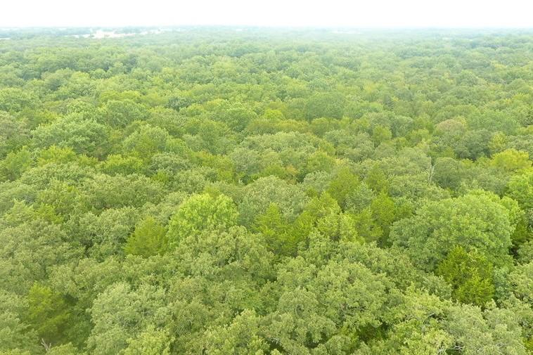 Tbd Pearce Street Collinsville, TX 76233 - Photo 32 of 39 a view of a big yard with an outdoor space