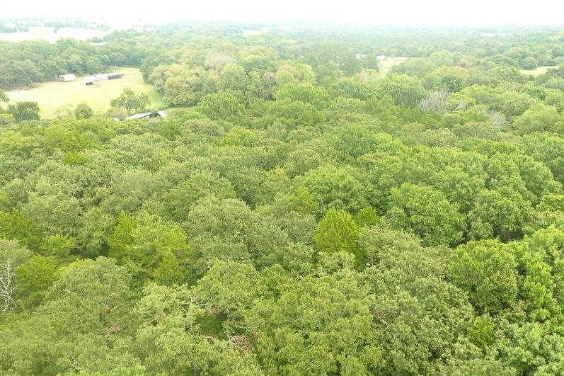 Tbd Pearce Street Collinsville, TX 76233 - Photo 35 of 39 a view of a field with an ocean view