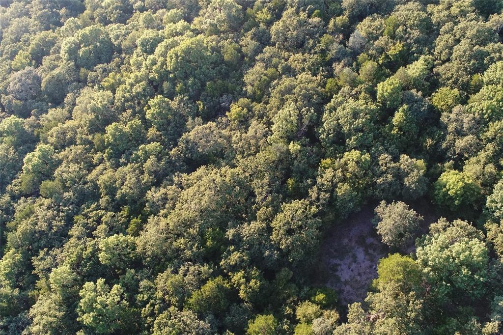 Tbd Pearce Street Collinsville, TX 76233 - Photo 5 of 39 an aerial view of a houses with a yard