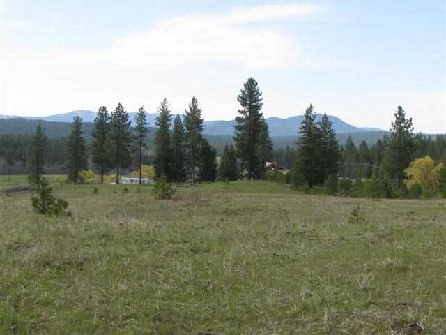 39-xx Springdale-Hunters Road Springdale, WA 99173 - Photo 1 of 9 Gallery Image 1
