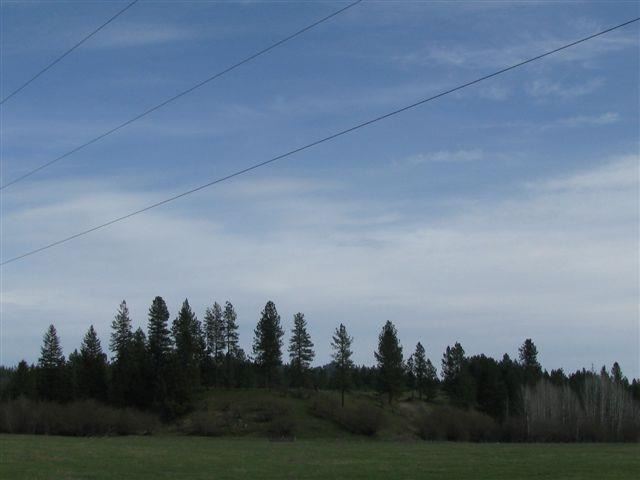 39-xx Springdale-Hunters Road Springdale, WA 99173 - Photo 2 of 9 Gallery Image 2