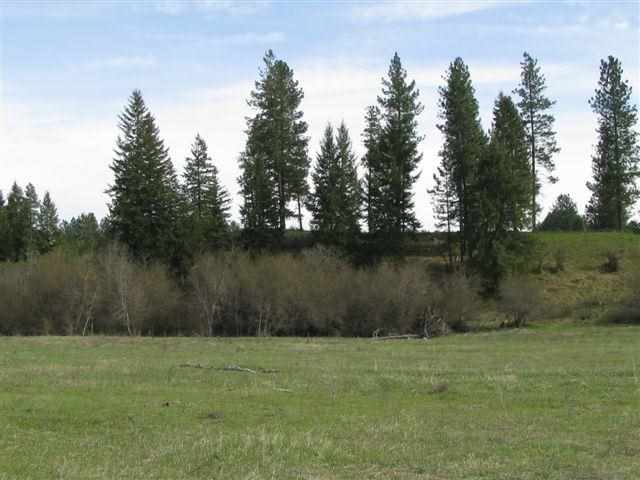 39-xx Springdale-Hunters Road Springdale, WA 99173 - Photo 4 of 9 Gallery Image 4