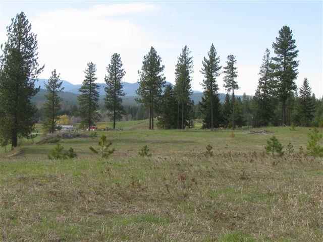 39-xx Springdale-Hunters Road Springdale, WA 99173 - Photo 8 of 9 Gallery Image 8
