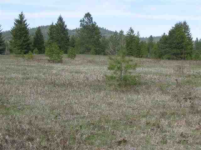 39-xx Springdale-Hunters Road Springdale, WA 99173 - Photo 9 of 9 Gallery Image 9